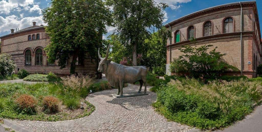 A továbbtanulás a cél? Majdnem másfélszáz elismert egyetemi tanszék, intézet közül választhatsz!