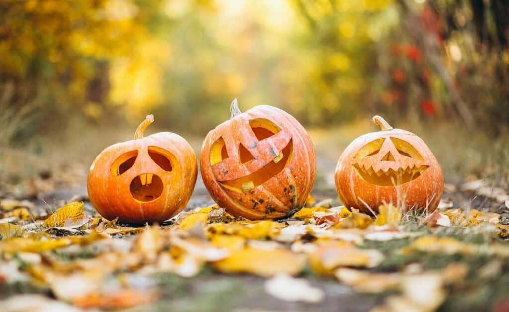 pumpkins Halloween, fotó: pixabay.com