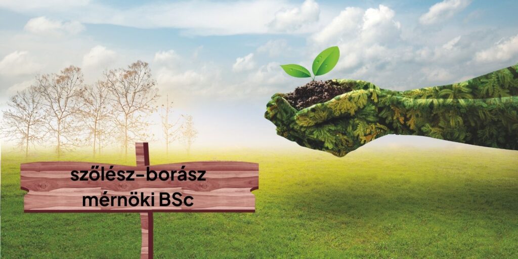 Tőkétől a pohárig – A szőlész-borász mérnöki alapképzés