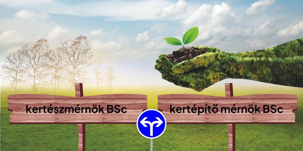 Kertek, udvarok, ágyások – Kertész- vagy kertépítő mérnök legyél?